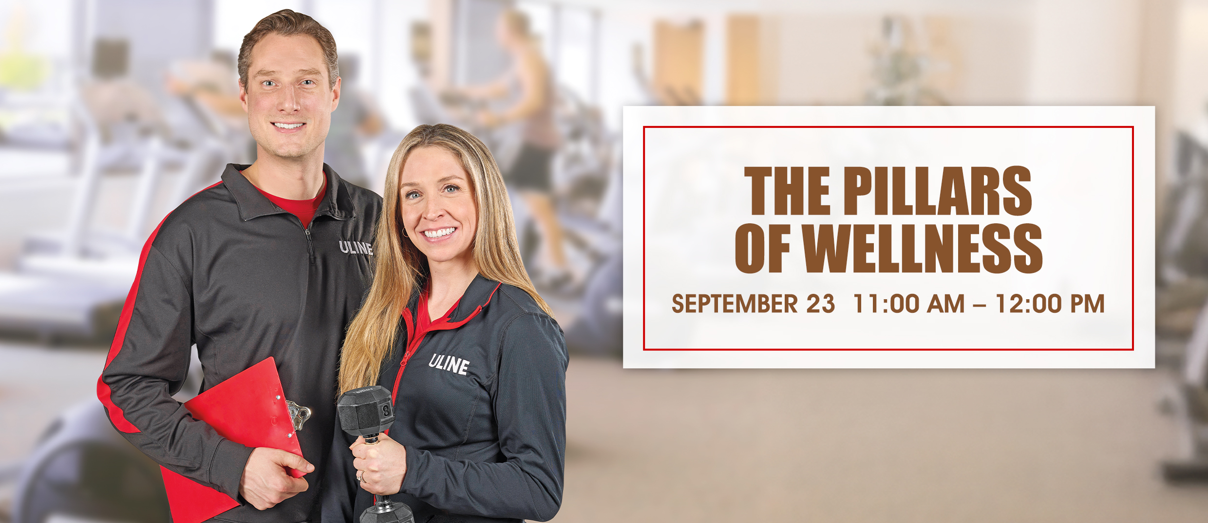 Pillars of Wellness