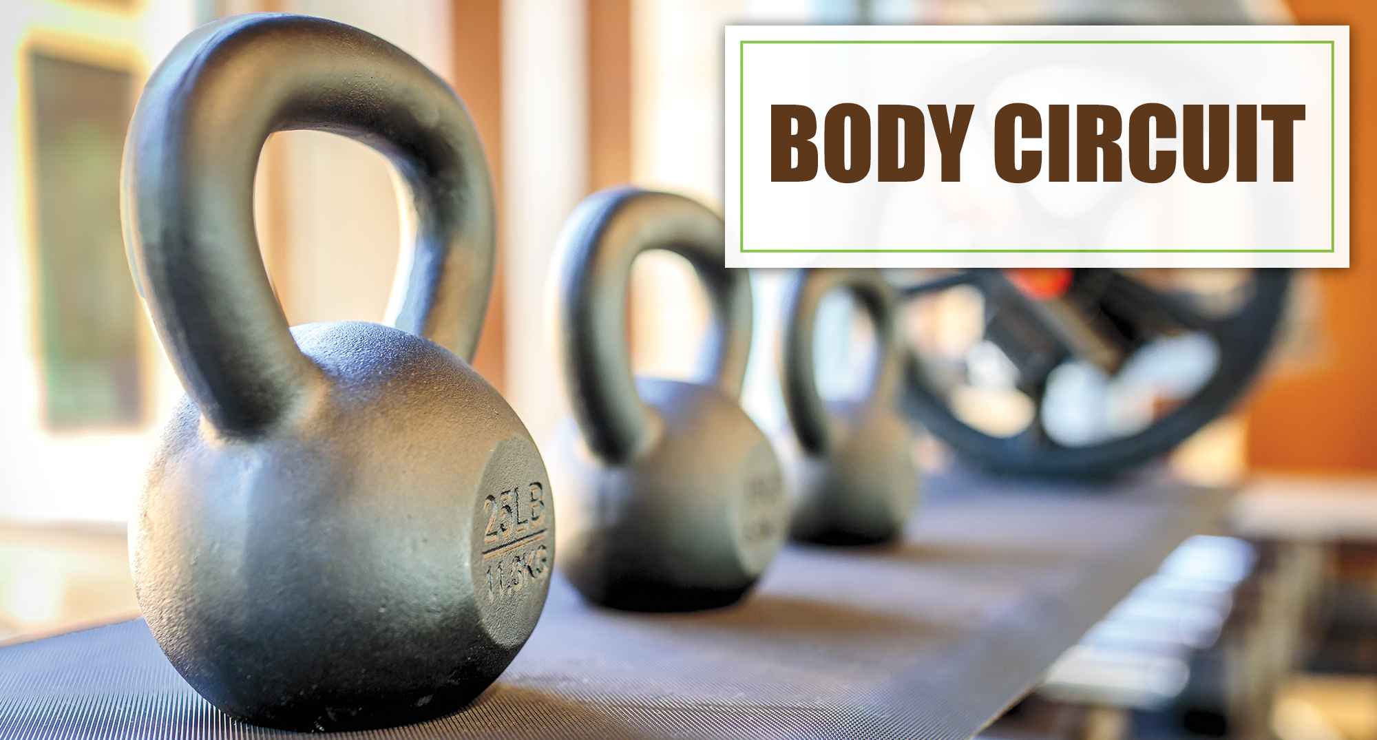 Body Circuit
